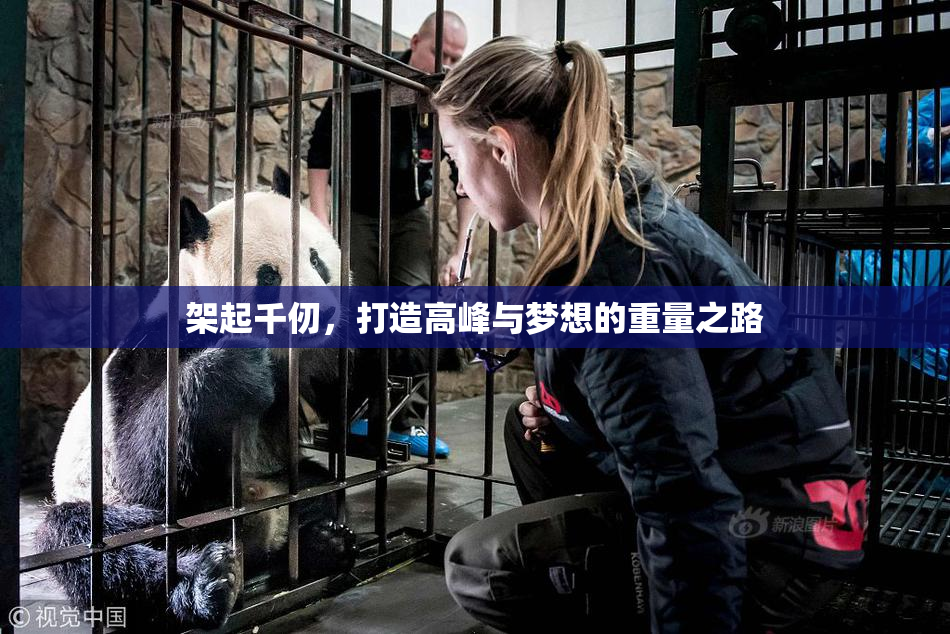 架起千仞，打造高峰与梦想的重量之路
