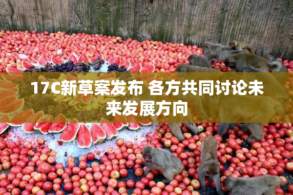 17C新草案发布 各方共同讨论未来发展方向
