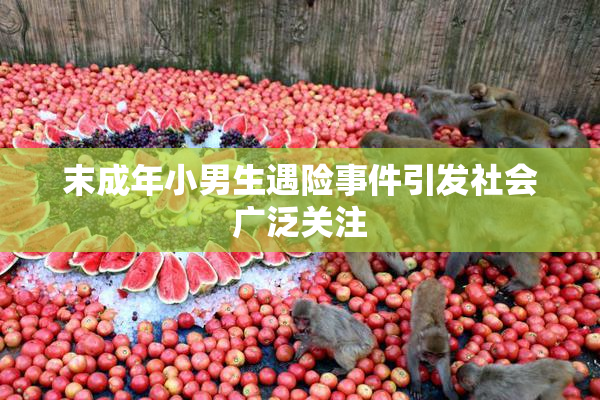 末成年小男生遇险事件引发社会广泛关注