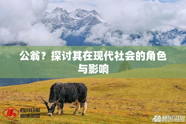 公翁？探讨其在现代社会的角色与影响