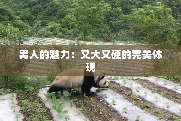 男人的魅力：又大又硬的完美体现