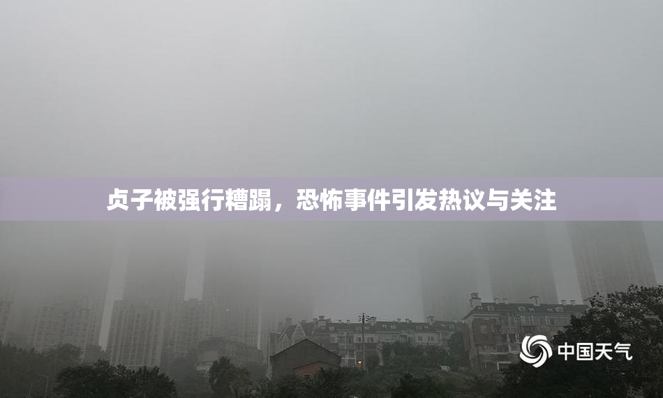 贞子被强行糟蹋，恐怖事件引发热议与关注