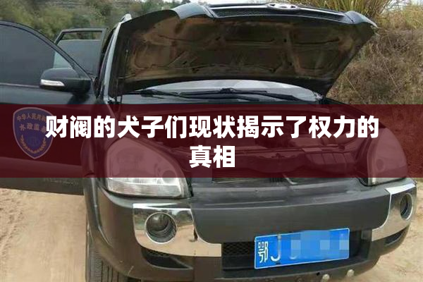 财阀的犬子们现状揭示了权力的真相