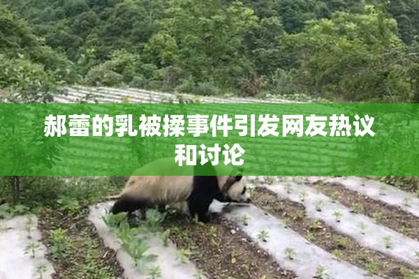 郝蕾的乳被揉事件引发网友热议和讨论