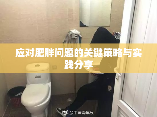 应对肥胖问题的关键策略与实践分享
