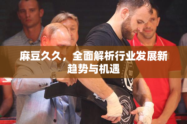 麻豆久久，全面解析行业发展新趋势与机遇