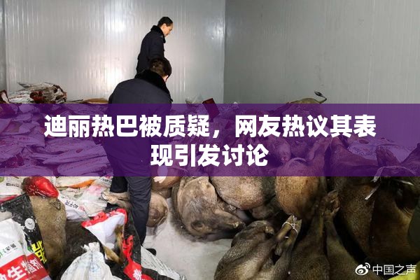 迪丽热巴被质疑，网友热议其表现引发讨论