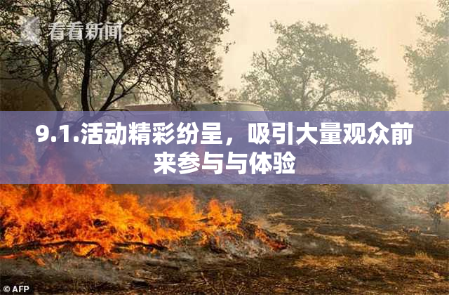 9.1.活动精彩纷呈，吸引大量观众前来参与与体验