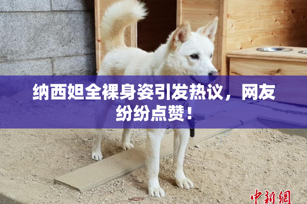 纳西妲全裸身姿引发热议，网友纷纷点赞！