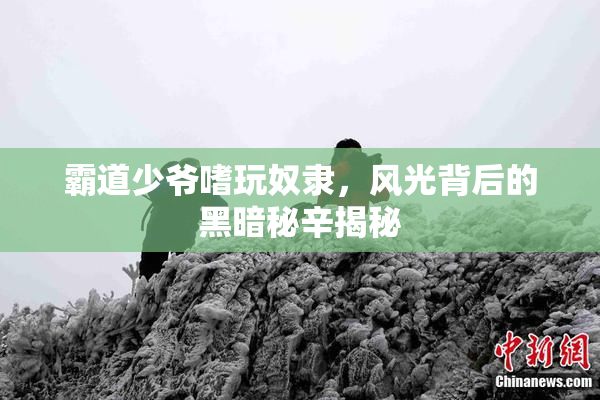 霸道少爷嗜玩奴隶，风光背后的黑暗秘辛揭秘