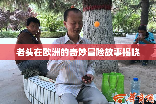 老头在欧洲的奇妙冒险故事揭晓