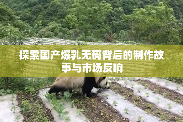 探索国产爆乳无码背后的制作故事与市场反响