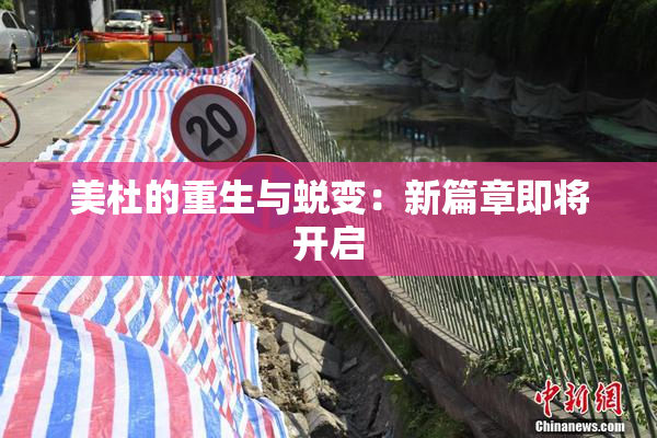 美杜的重生与蜕变：新篇章即将开启