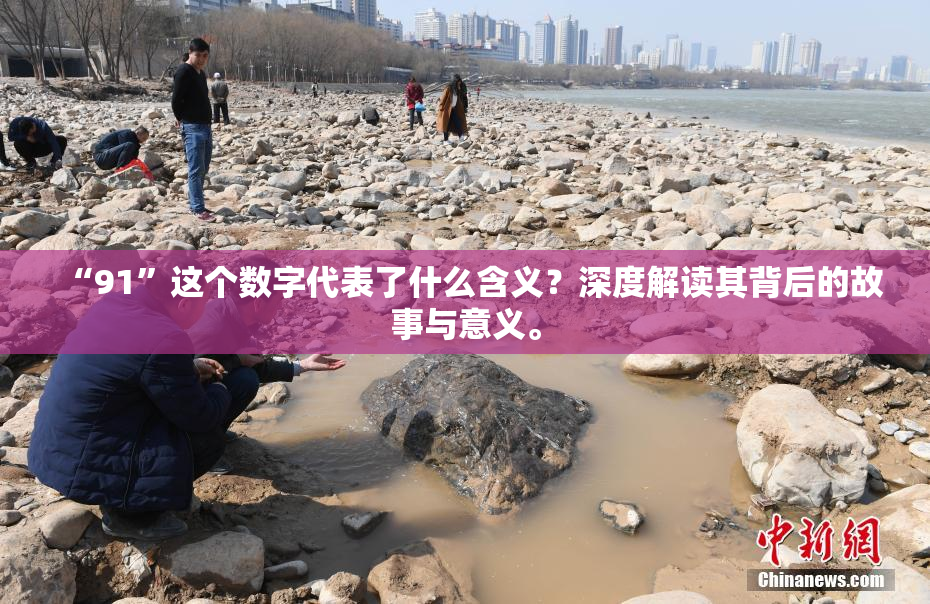 “91”这个数字代表了什么含义？深度解读其背后的故事与意义。
