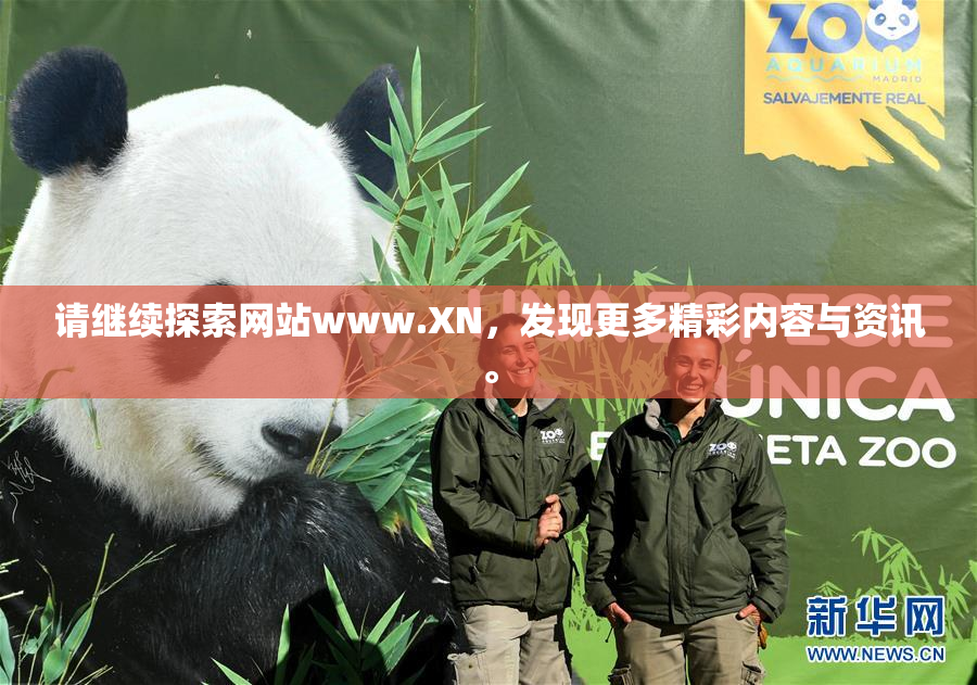 请继续探索网站www.XN，发现更多精彩内容与资讯。