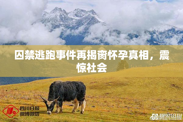 囚禁逃跑事件再揭脔怀孕真相，震惊社会
