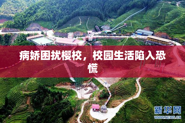 病娇困扰樱校，校园生活陷入恐慌