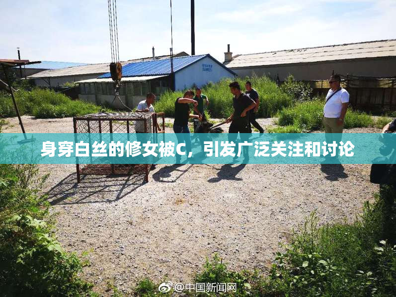 身穿白丝的修女被C，引发广泛关注和讨论