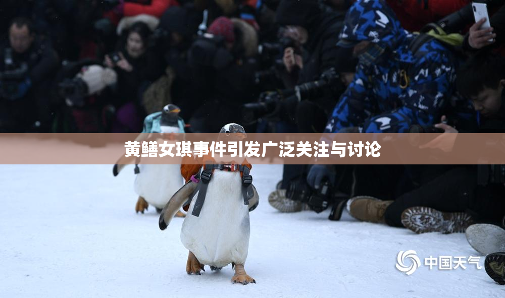 黄鳝女琪事件引发广泛关注与讨论