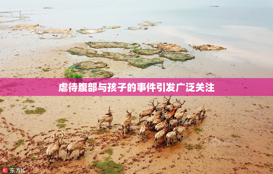 虐待腹部与孩子的事件引发广泛关注