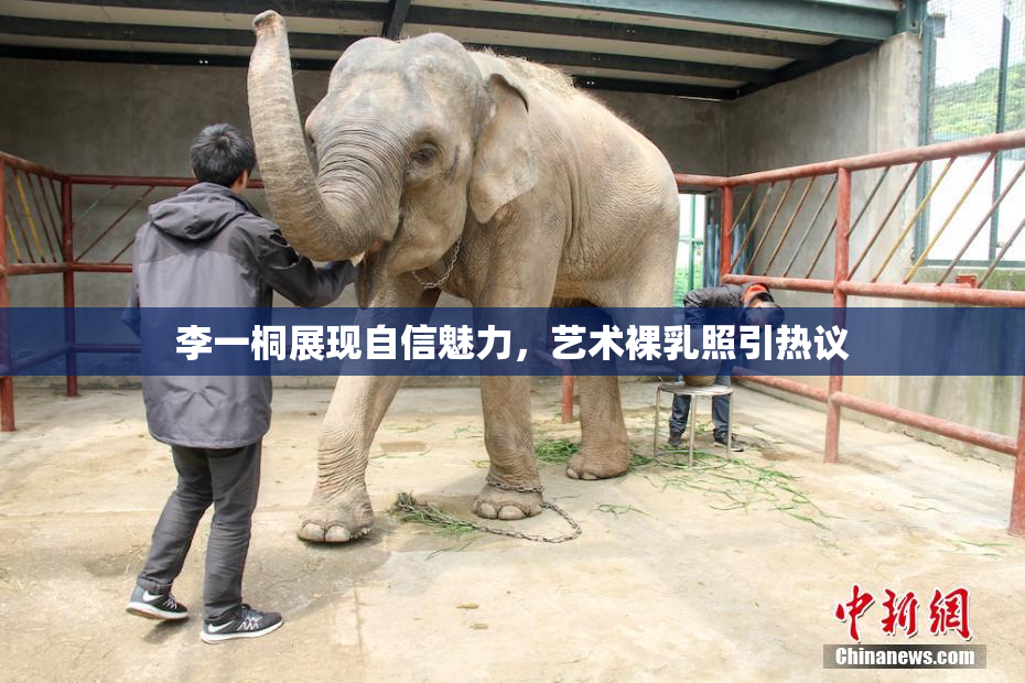 李一桐展现自信魅力，艺术裸乳照引热议