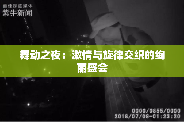 舞动之夜：激情与旋律交织的绚丽盛会