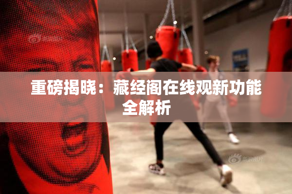 重磅揭晓：藏经阁在线观新功能全解析