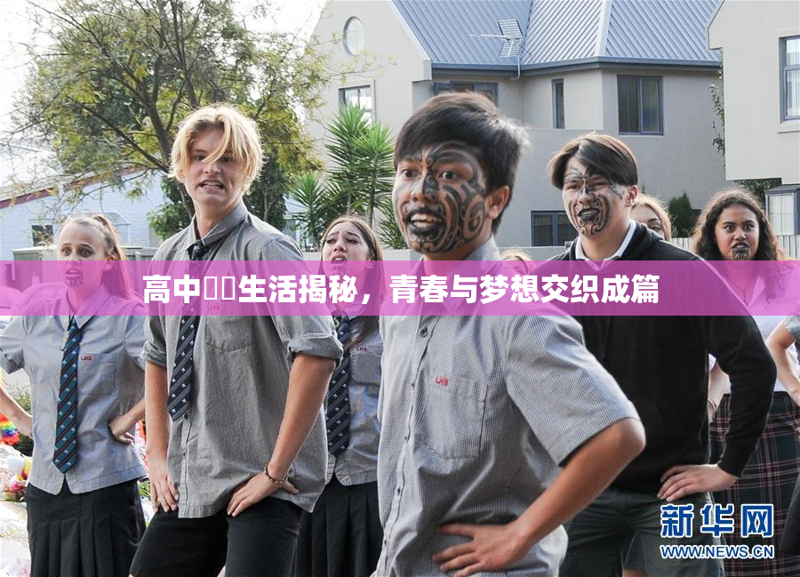 高中妺妺生活揭秘，青春与梦想交织成篇