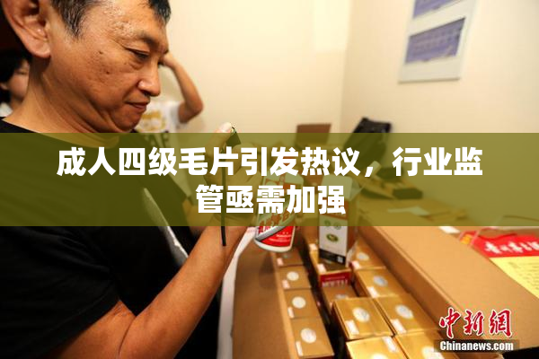 成人四级毛片引发热议，行业监管亟需加强