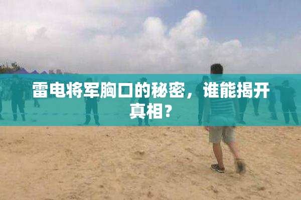 雷电将军胸口的秘密，谁能揭开真相？