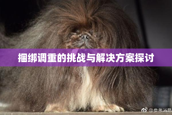 捆绑调重的挑战与解决方案探讨