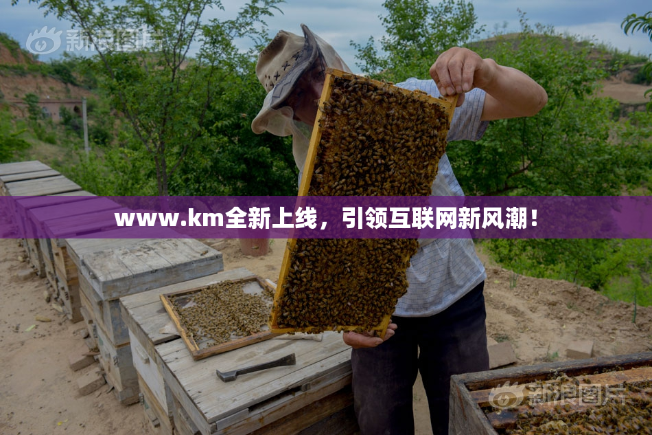 www.km全新上线，引领互联网新风潮！