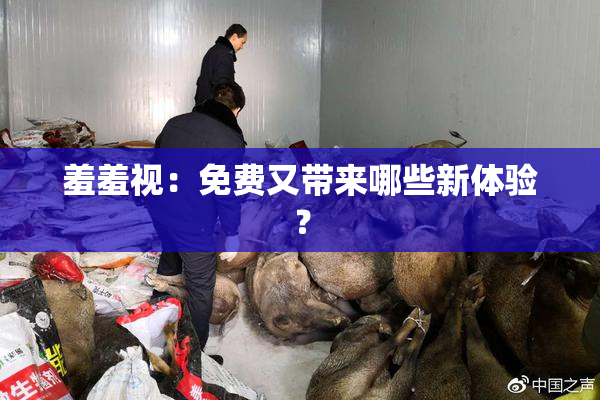 羞羞视：免费又带来哪些新体验？