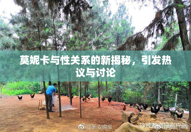 莫妮卡与性关系的新揭秘，引发热议与讨论