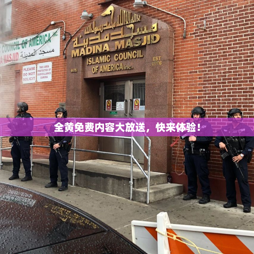 全黄免费内容大放送，快来体验！