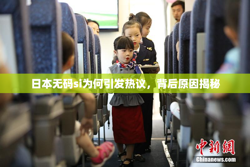 日本无码si为何引发热议，背后原因揭秘