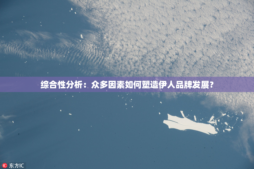 综合性分析：众多因素如何塑造伊人品牌发展？
