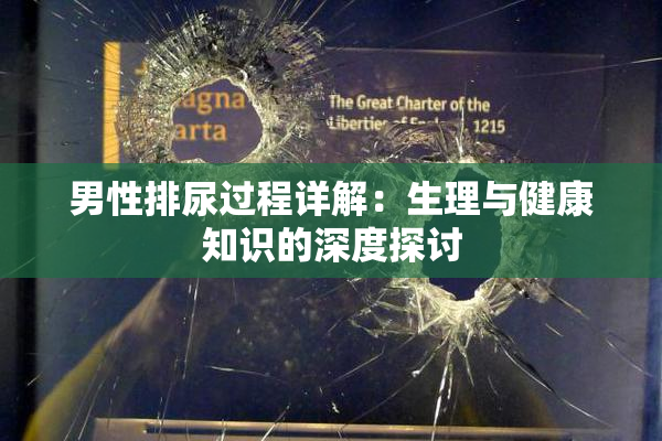 男性排尿过程详解：生理与健康知识的深度探讨
