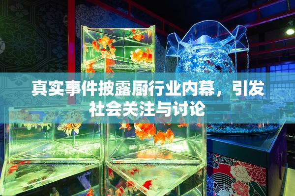 真实事件披露厨行业内幕，引发社会关注与讨论