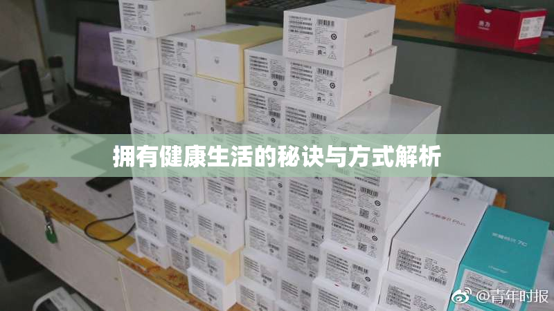 拥有健康生活的秘诀与方式解析