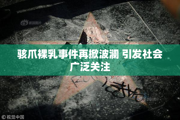 骇爪裸乳事件再掀波澜 引发社会广泛关注
