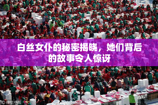 白丝女仆的秘密揭晓，她们背后的故事令人惊讶