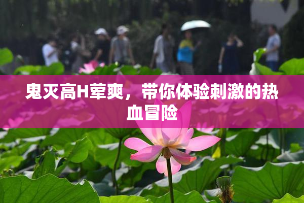 鬼灭高H荤爽，带你体验刺激的热血冒险