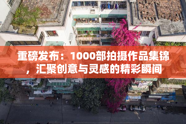 重磅发布：1000部拍摄作品集锦，汇聚创意与灵感的精彩瞬间