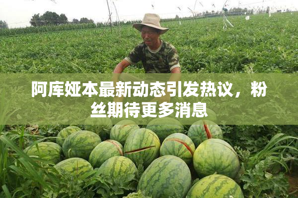 阿库娅本最新动态引发热议，粉丝期待更多消息