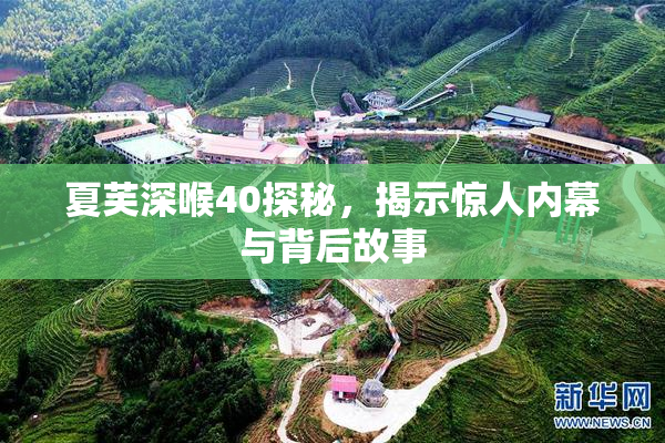 夏芙深喉40探秘，揭示惊人内幕与背后故事