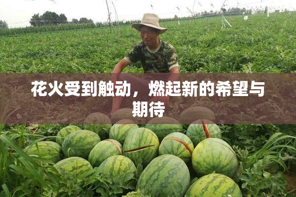 花火受到触动，燃起新的希望与期待