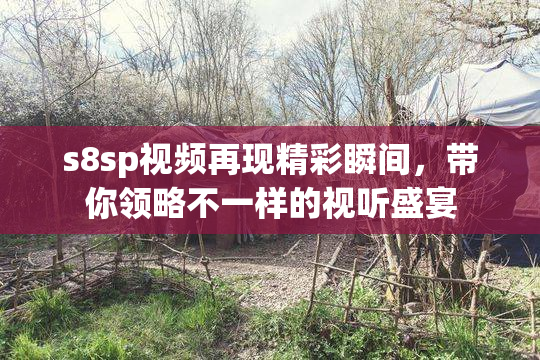 s8sp视频再现精彩瞬间，带你领略不一样的视听盛宴