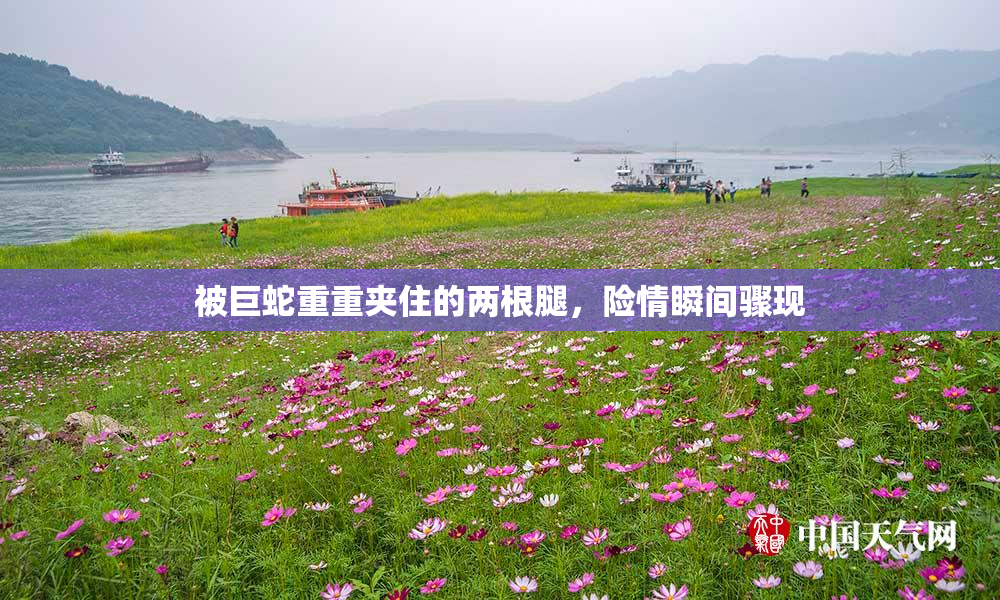 被巨蛇重重夹住的两根腿，险情瞬间骤现