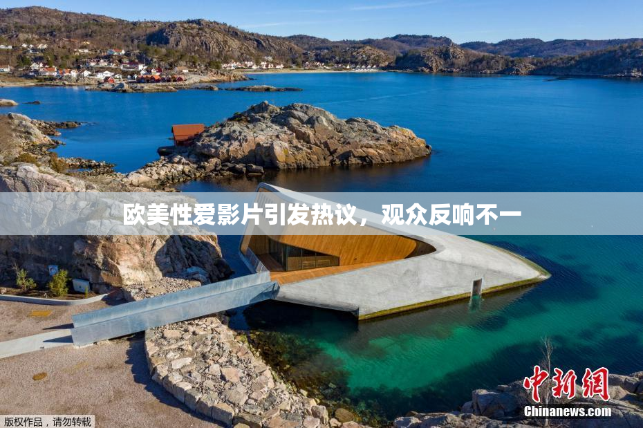 欧美性爱影片引发热议，观众反响不一